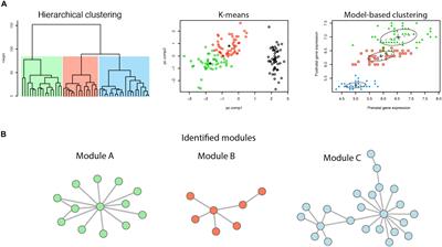 Understanding Molecular Mechanisms of the Brain Through Transcriptomics